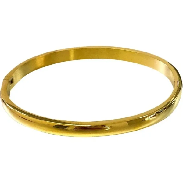 Oval Hinged Domed Polished Bangle