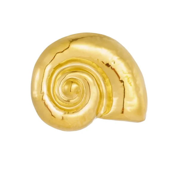 Nautilus Shell Spiral Relief Brooch