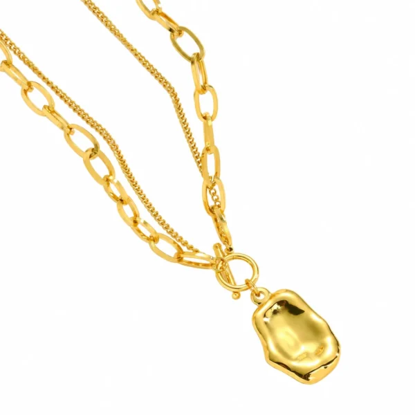 Double Chains and Organic Pendant Pendant Necklace