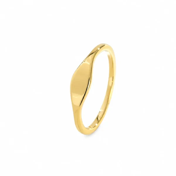 Signet Ring with Asymmetric Oval Face