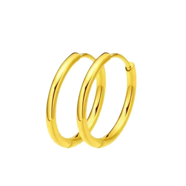 Hoop Earrings Round Tube Hinge