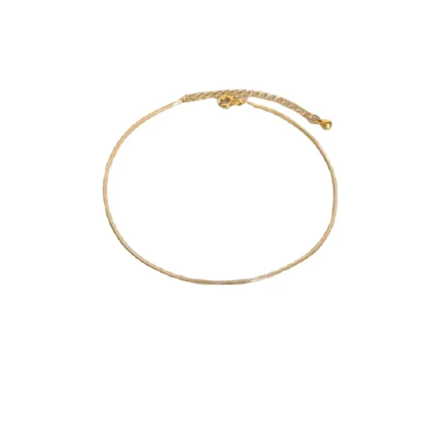 Round Snake Chain Anklet